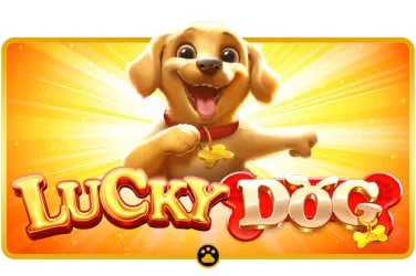 မိုဘိုင်းဖုန်းဖြင့် Online Casino ကစားနည်း Myanmar